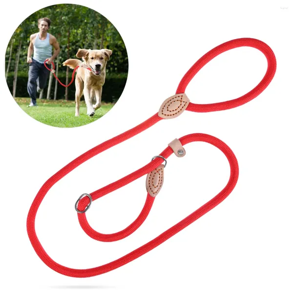 Colliers de chien UEETEK Collier de laisse de dressage en nylon pour animaux de compagnie (diamètre rouge 14 cm)