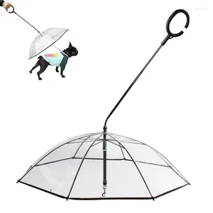 Colliers pour chiens, parapluie pour petits chiens, poignée réglable, Angle en forme de C