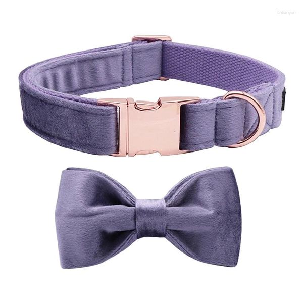 Colliers de chien Style Unique PAWS Collier doux en velours violet avec nœud papillon et laisse Cadeau pour chiens chats