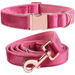 Colliers pour chiens style unique pattes collier de chat en velours rose réglable et ensemble de laisse