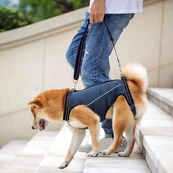 Collares de perros universales sólidos cojinetes de soporte para mascotas cinturón ajustable suave y cómodo mazo de asistencia de piernas a pie caminar