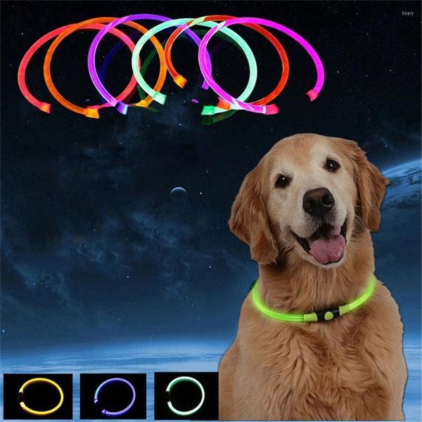 Colliers pour chiens Charge USB Pet LED Collier Night Glow Lumineux Rechargeable Sécurité Chiot Chat Fluorescent Anti-Perdu Éviter l'approvisionnement en accident de voiture