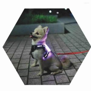 Colliers pour chiens, chargeur USB/batterie Led, Anti-perte/éviter les accidents de voiture pour chiens, fournitures lumineuses fluorescentes pour animaux de compagnie