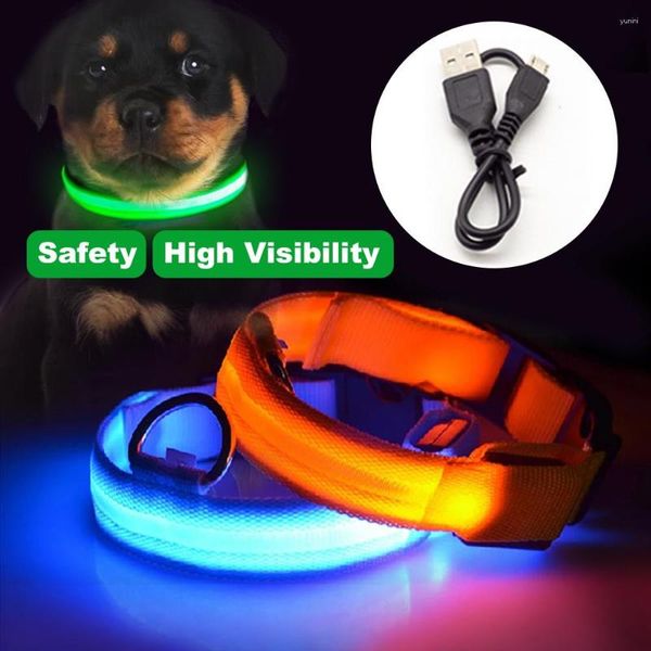 Colliers pour chiens Collier LED USB Batterie Perro Anti-Perdu/Éviter les accidents de voiture Luminoso Sécurité Personalizado Pet Chien Produit Glow In Dark