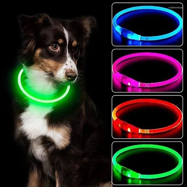 Collares para perros, Collar LED recargable por USB para mascotas, Collar de seguridad brillante desmontable, luz intermitente, prevención de pérdida de cachorros antipérdida