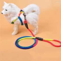 Colliers pour chiens, artefact de marche, conception colorée sûre et fiable, Durable, confortable à utiliser, bon pour l'entraînement, ceinture en Nylon