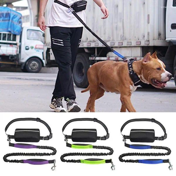 Collares de perros cinturón para caminar cintura de plomo reflectante zapatilla mastrescas de doble acolchado y bungee para trotar corriendo tu