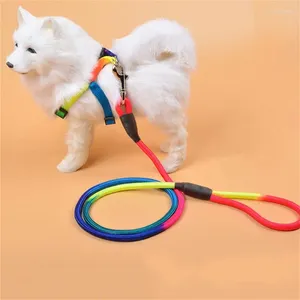 Colliers pour chiens, laisse de marche, matériaux de haute qualité, Design coloré, Durable, bon pour l'entraînement, confortable à utiliser
