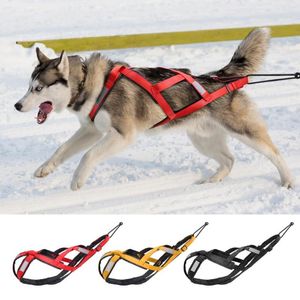 Colliers pour chiens, harnais de traîneau étanche, réfléchissant, sangle de pondération de résistance moyenne et grande pour le ski et le scooter