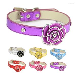 Colliers pour chiens, vente en gros et accessoires pour chats, collier pour animaux de compagnie, produits en strass, Roses, cuir