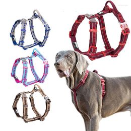 Hondenkragen Winhyepet Harness Verstelbaar reflecterend vest Pet Accessoires Alle weersreizen voor kleine Meduiim grote honden