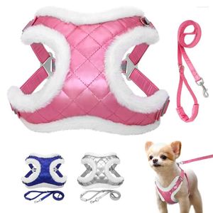 Halsbanden Winter Harige Kleine Harnas Leash Set Warm Huisdier Borstband Bont Gevoerde Kat Sphinx Vest Voor Middelgrote honden Katten