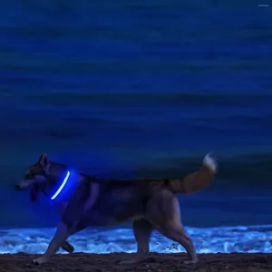 Colliers pour chiens XS/M, LED rechargeables par USB, lumières lumineuses réglables, sécurité douce, clignotant nocturne, 3 Modes, fournitures pour animaux de compagnie