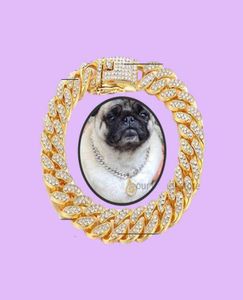 Colliers de chien Xury Designer Collar Bracelet Bling Diamond Collier Cuban Gold Chain pour Pitbull Big Dogs Jewelry Metal Material7310074