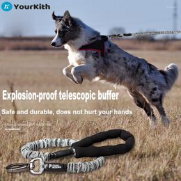 Colliers de chien YourKith Leash Strong Pet avec poignée rembourrée confortable Formation robuste Laisses de corde en nylon durables