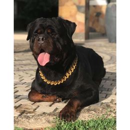 Hond Cubaanse link ketting halsband dikke ketting 925 zilver/goud Vvs Moissanite Cubaanse ketting voor mensen of huisdieren