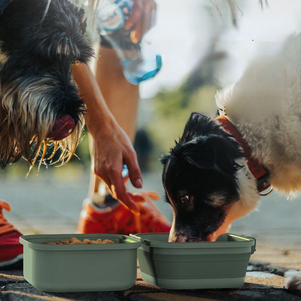 Comederos para perros, cuenco plegable para exteriores, cuenco para beber y comer de doble capa, cuencos portátiles de viaje para mascotas