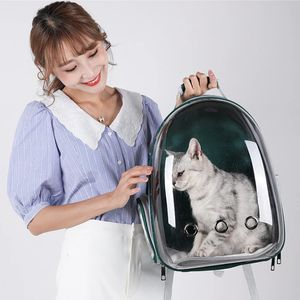 Chien pour chat chats sac à dos sac s et rouleaux transport chats 231110