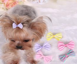 Bows de cabello para perros Clip Pet Cat Puppy Bowning Towls Striped For Accessors de cabello Diseñador 5 Colors Mix HH712628015293