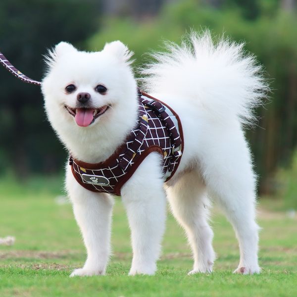 Ensemble harnais et laisse pour chiens de petite et moyenne taille, gilet réfléchissant et respirant pour animaux de compagnie avec laisse pour la marche et le Jogging CPA4220