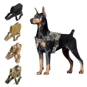 Hond harnas K9 wandelen instelbare nylon hond kraag vest bungee hond leiband harnas voor kleine larges honden Duitse herder 210729