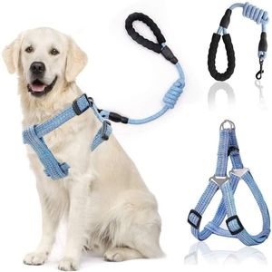 Correa y arnés para perro, conjunto de cuerda ajustable para perros, tracción en el pecho y espalda, cachorro, mascota, nailon, duradero, cadena para caminar al aire libre, collares, correas