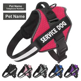 Harnais de chien colliers et sangles de compagnie laisse petit accessoires de poitrine personnalisés moyens pour les chiens fournit 240508
