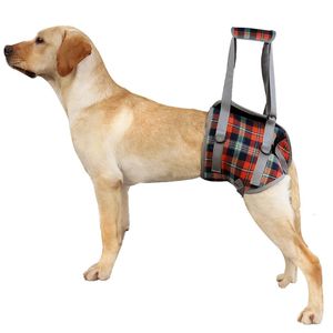 Harnais de soutien pour chien, attelle de soutien pour protection contre les blessures aux jambes, laisse de marche en plein air, collier pour animaux de compagnie, rembourré à main, y240103