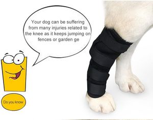 Attelle de jambe arrière pour chien Support de jarret arrière canin pour la protection des blessures articulaires et des entorses, la cicatrisation des plaies et la perte de stabilité due à l'arthrite Noir