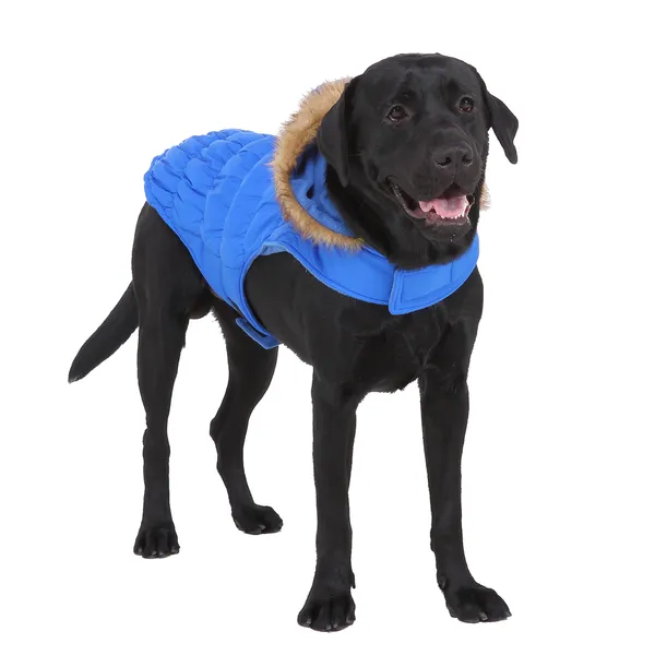 Chaqueta con capucha para perros,Abrigos de invierno cálidos para perros al aire libre,Ropa para perros Chaqueta ligera impermeable para perros para mascotas Chaleco para perros para clima frío Ropa para perros,Azul