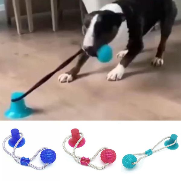 Chien interactif ventouse pousser TPR balle jouets cordes élastiques chien dent nettoyage mâcher jouer IQ traiter jouets Pet chiot fournitures 0727