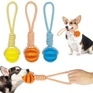 Jouets interactifs pour chiens boules qui fuient en caoutchouc corde de chanvre jouets résistants aux morsures pour petits chiens nettoyage des dents jouet molaire accessoires pour animaux de compagnie