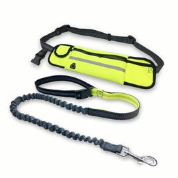 Dog Leash Running Nylon Hand Vrij Pet Producten Harnas Kraag Jogging Lood Verstelbare Taille Leidingen Tractie Riem Touw 211006