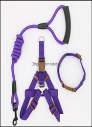 Dog Leash Traction corde Pet Huisse pour petit et grand PL Adjustable Viegn Classic Running Training Coll Drop Livraison 2021 Coll2525779
