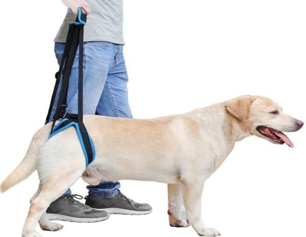 Arnés de elevación para perros con eslinga estable que ayuda a los perros con movilidad limitada, patas delanteras y traseras débiles a ponerse de pie, alternativa a la silla de ruedas para perros 2010306079245