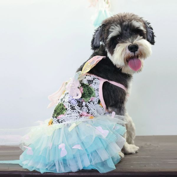 chien lolita princesse robe petit chien animal mignon vêtements jupe chiens vêtements chat imprimement mince été blanc chihuahua 240518