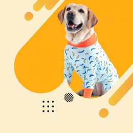 Costume de récupération en pyjamas pour chiens pour chiens après une intervention chirurgicale Adorable Adorable Pet-Sied pour effacer empêcher le léchage de la plaie chirurgicale