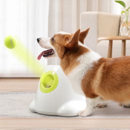 Dog Pet Toys Tennis Launcher Automatic Machine Machine Pet Pet Ball Throw Dispositif 369m Section émission avec 3 balles Traine de chiens 240418