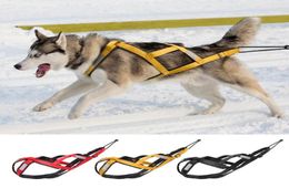 Chiens Sled Harness PEAU PEAU PRÉSENTATION DU SLANDDING MUSHING X Back pour gros chiens Husky canicross skijoring scootering8608168
