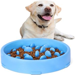 Bol à gamelle pour ingestion lente pour chien, Anti-avaleur pour animaux de compagnie, plats à alimentation plus lente, Durable, prévention de l'étouffement, conception saine, Dogs316M