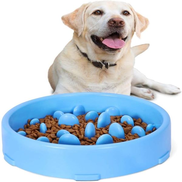 Tazón de alimentación lenta para perros, platos de alimentación más lentos para mascotas, duraderos, prevención de asfixia, diseño saludable Dogs2559