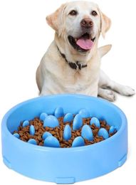Chien lent bol d'alimentation lente antigulping animal de compagnie plus lent alimentant les plats d'alimentation durable empêchant les chiens de conception sains 2184900