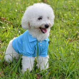 Chien T-shirt Summer Cool Vêtements Sweat-shirt yorkshuahua chiot gilet pour petits costumes de chiens moyens 240425