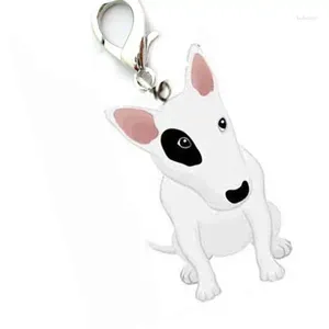 Dog Tag 1PC Disc de mode disque Pet Id Accessoires Email Collier Collier Pendre Puppy Puppy Accessoire