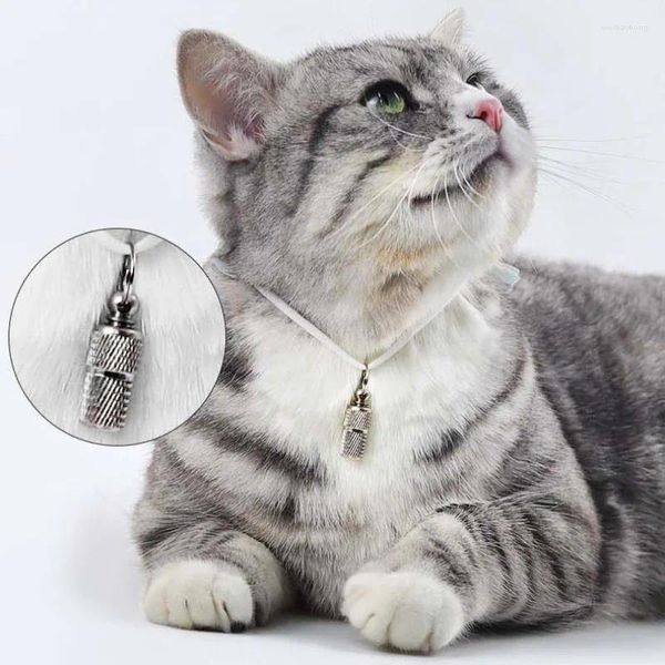 Etiqueta para perro, tubo de almacenamiento para gato, etiqueta de dirección Antipérdida, etiquetas de identificación de nombre de mascota, Mini Collar de Metal, colgantes, collares Pitbull