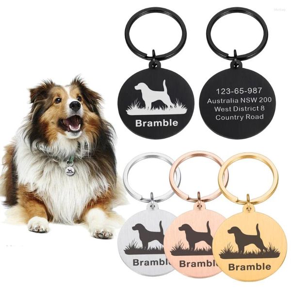 Collier d'identité personnalisé pour chien, fournitures pour animaux de compagnie, plaque nominative personnalisée, collier Anti-perte pour chat avec numéro d'adresse gravé