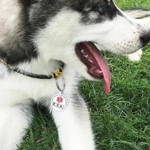 Dog Tag Honden Katten Naamplaatje Anti-verloren naam Gegraveerde ID-tags Gepersonaliseerde Creatieve Dubbelzijdige Aangepaste Accessoires voor halsbanden voor huisdieren