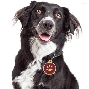 Dog Tag gepersonaliseerde kat -ID Gratis gravure ketting aangepaste naam huisdier benodigdheden accessoires puppy accessoire