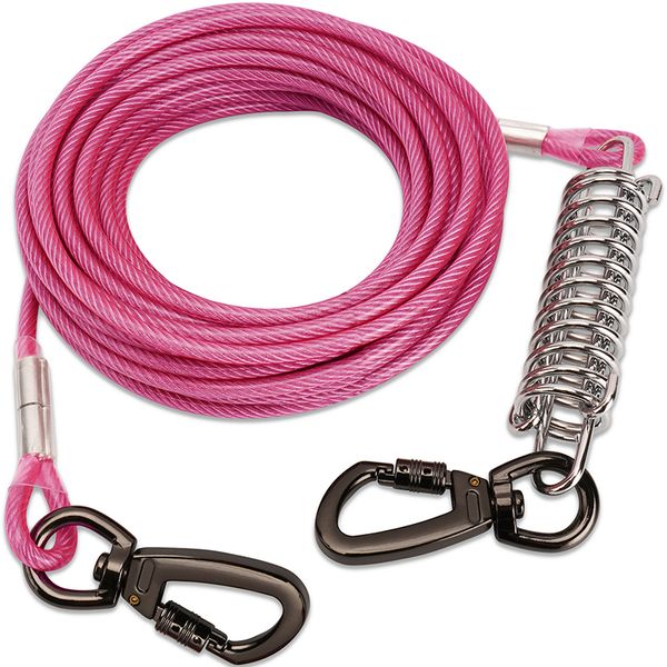 La laisse de câble à nœud pour chiens, acier double durable, pince soudée, plomb, petit, moyen, gros chiens, ceinture de laisse extérieure