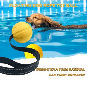 Boules de jouets pour chiens sur une corde pour les petits chiens moyens moyens à mâcher, balle interactive durable pour les chiens d'entraînement, les flotteurs en mousse eva